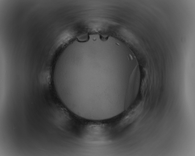 X0000088470595200705221404