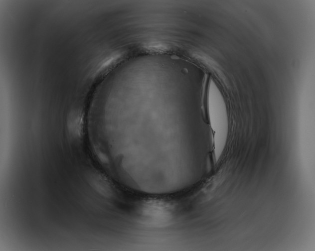X0000088470596200705221404