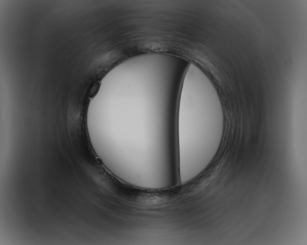 X0000088470597200705221404