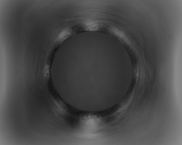 X0000088470598200705221404