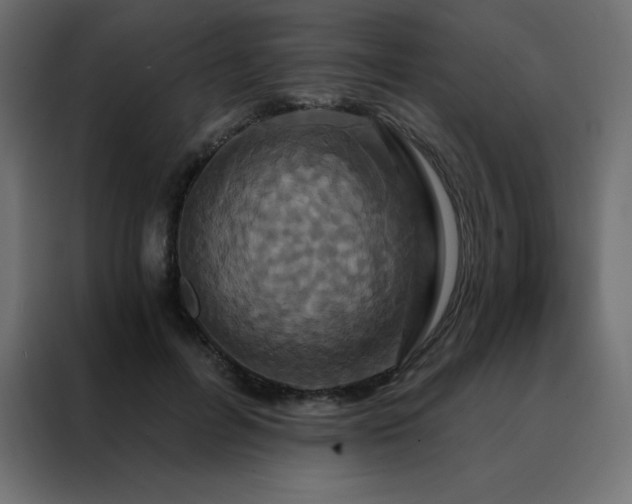 X0000088470600200705221404