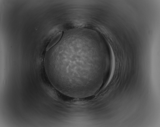 X0000088470601200705221404