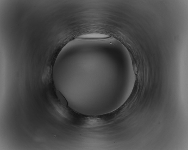 X0000088470605200705221404