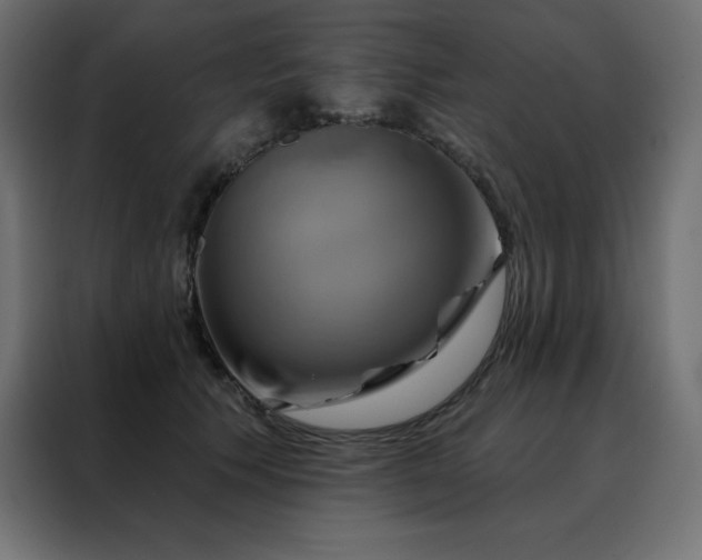 X0000088470609200705221404