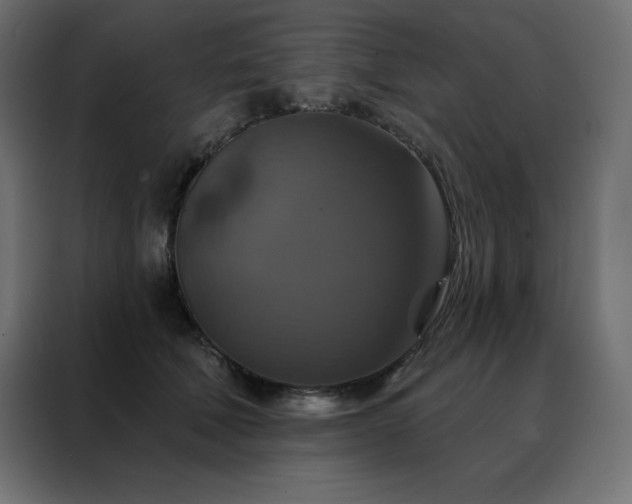 X0000088470610200705221404