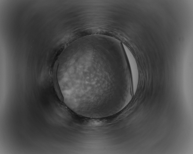 X0000088470613200705221404