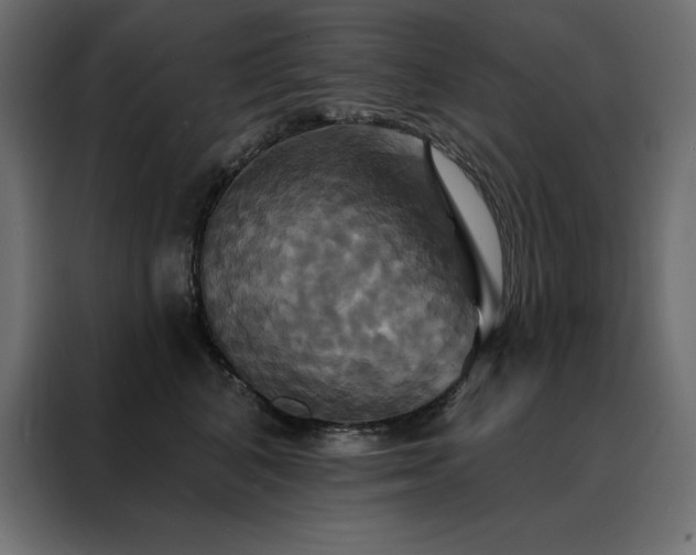 X0000088470616200705221404
