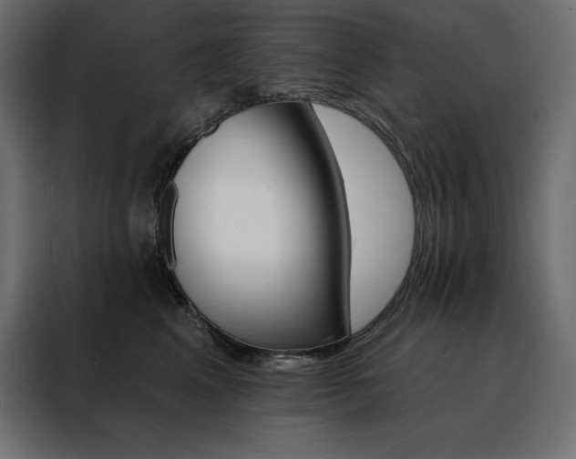 X0000088470617200705221404