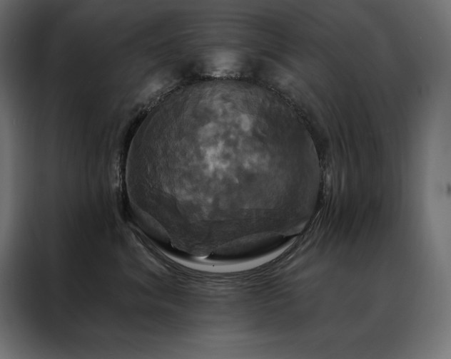 X0000088470620200705221404