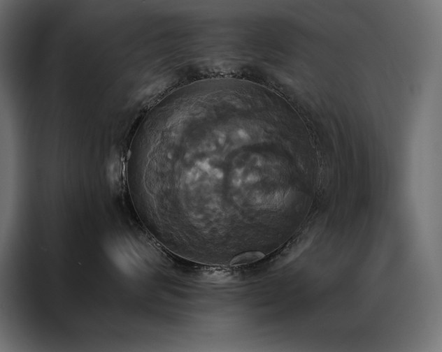 X0000088470624200705221404