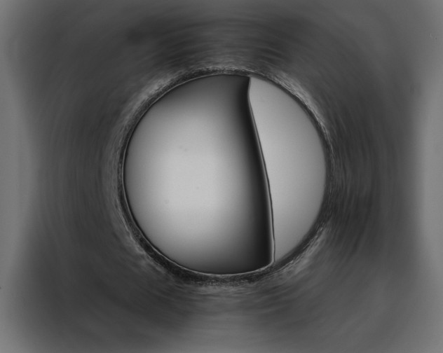 X0000088470625200705221403