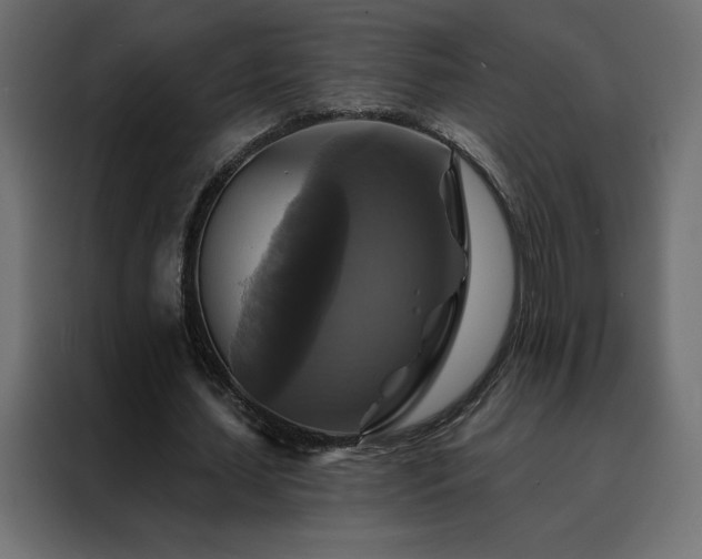 X0000088470627200705221404