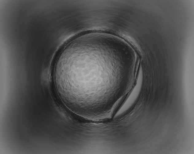 X0000088470628200705221404