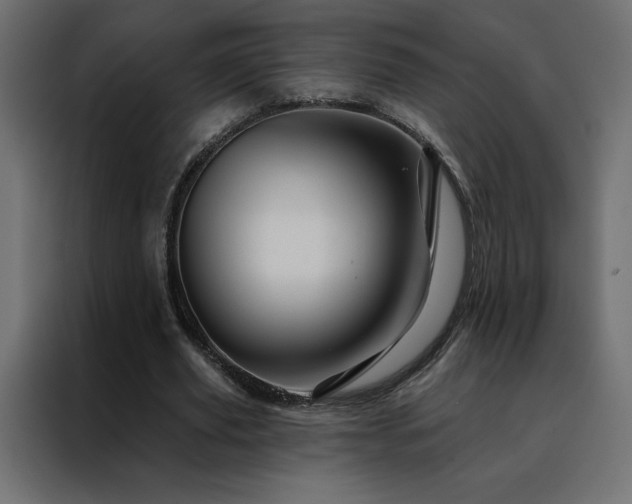 X0000088470629200705221404