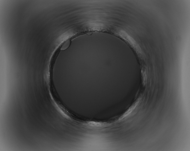 X0000088470630200705221404