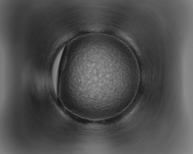 X0000088470633200705221404