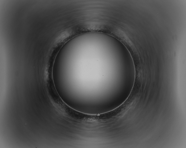 X0000088470635200705221404