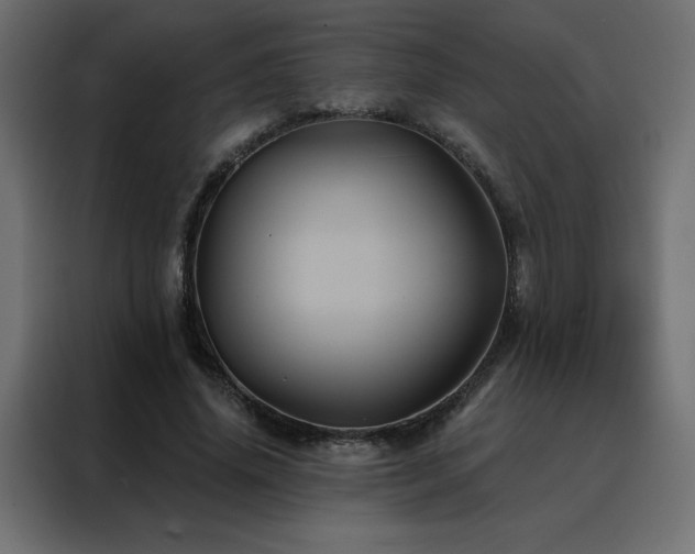 X0000088470636200705221404