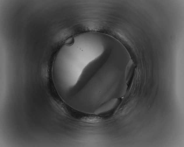 X0000088470639200705221404