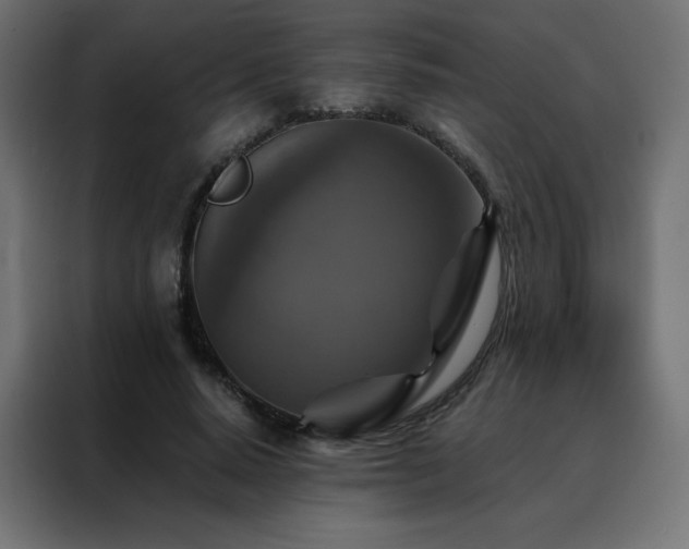 X0000088470640200705221404