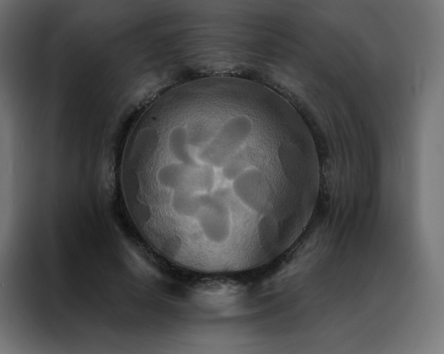 X0000088470642200705221404