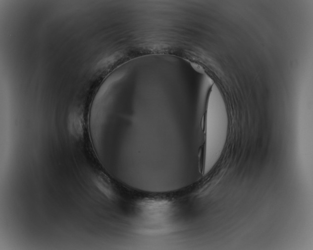 X0000088470644200705221404