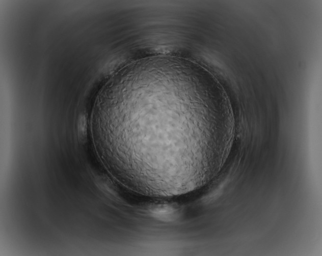 X0000088470646200705221404