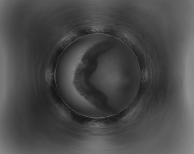 X0000088470648200705221404