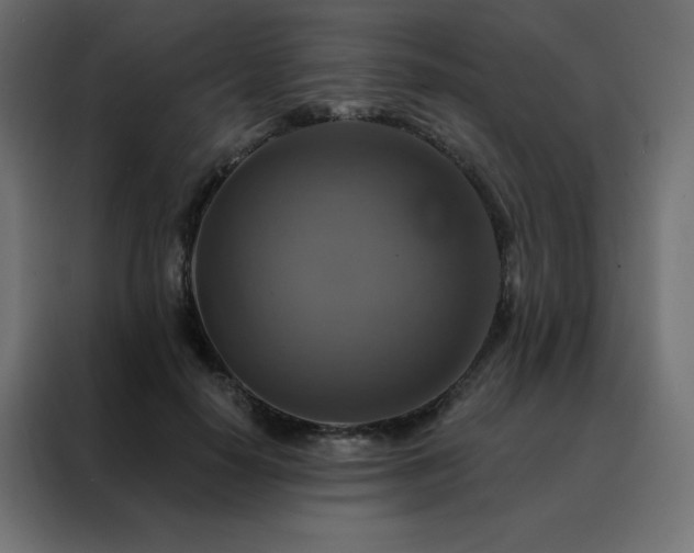 X0000088470650200705221404