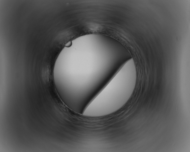 X0000088470651200705221404