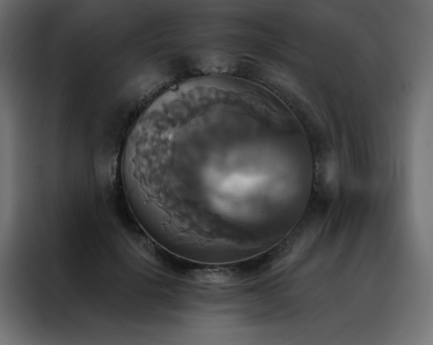 X0000088470652200705221404