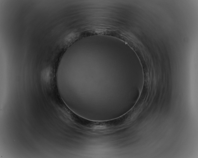 X0000088470653200705221404