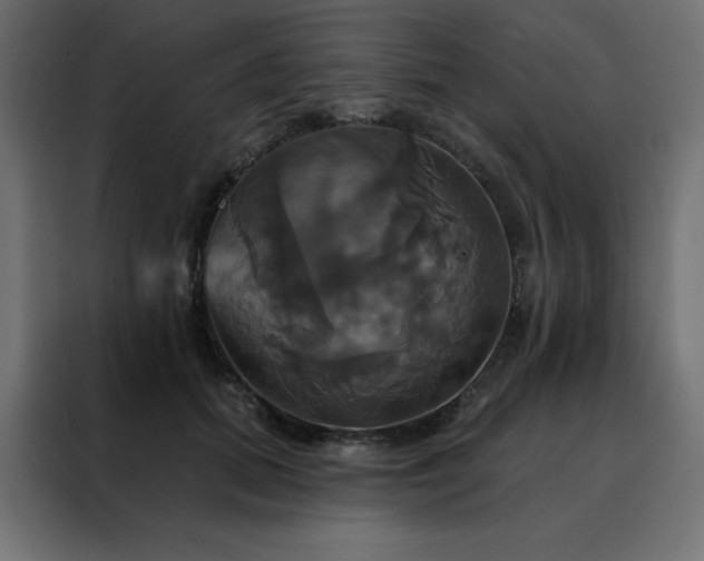 X0000088470655200705221404