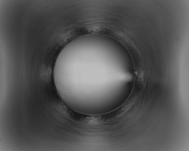 X0000088470660200705221404