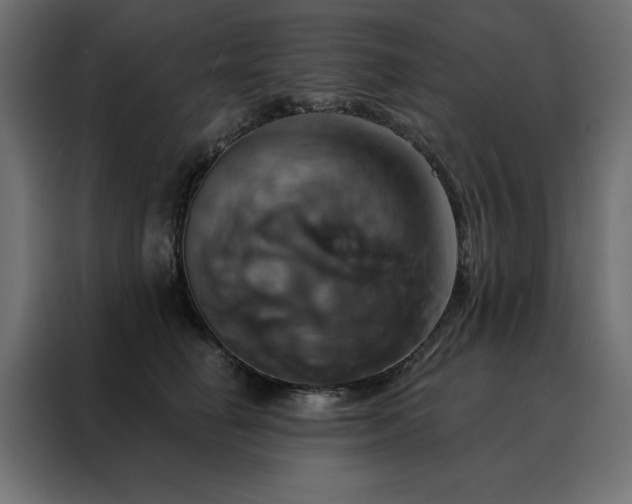 X0000088470662200705221404