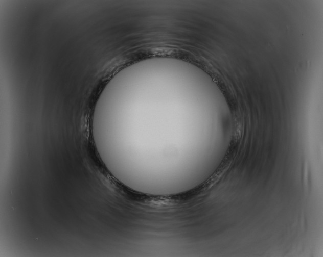 X0000088470666200705221404
