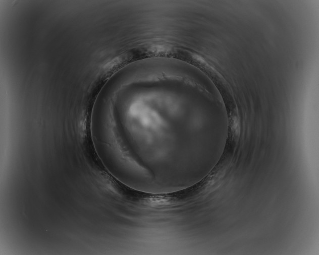 X0000088470668200705221404