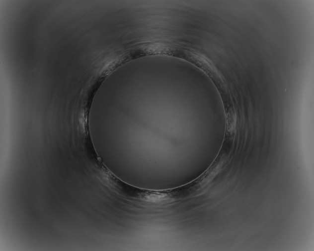 X0000088470669200705221404