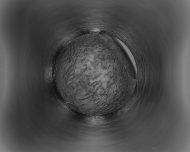 X0000088470670200705221404