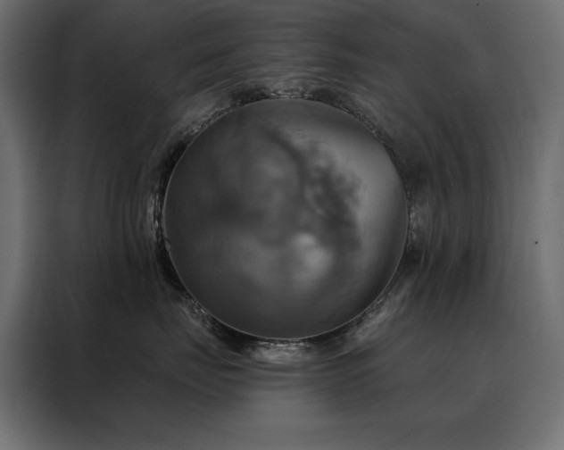 X0000088470671200705221404