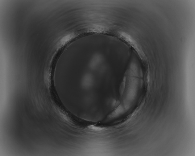 X0000088470679200705221403