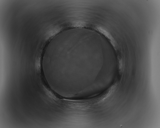 X0000088470681200705221403