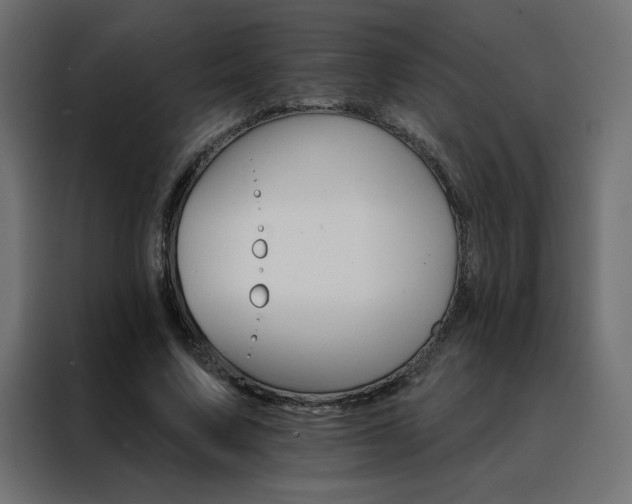 X0000088470683200705221403