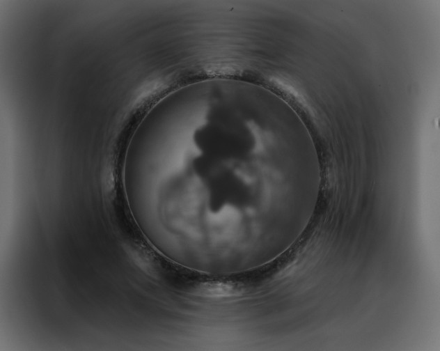 X0000088470687200705221403