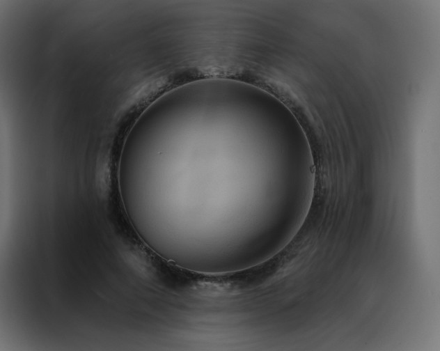 X0000088470690200705221403