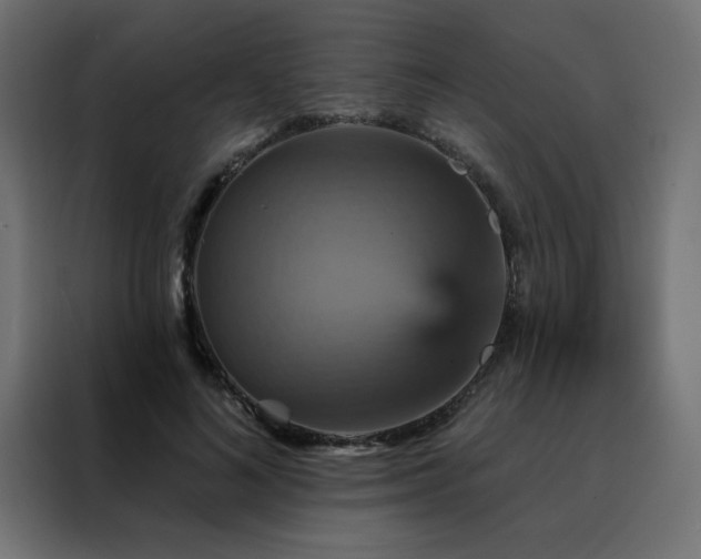 X0000088470692200705221403