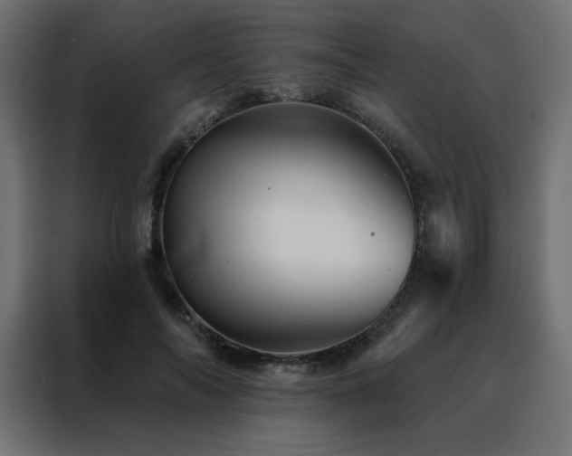 X0000088470694200705221403
