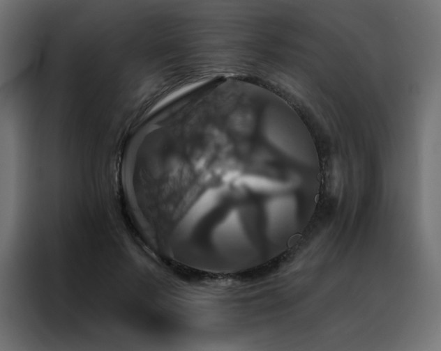 X0000088470695200705221403