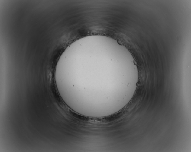 X0000088470703200705221403