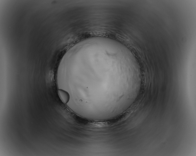 X0000088470711200705221403
